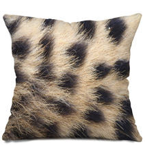African Cheetah Pillows 70994317