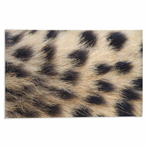 African Cheetah Rugs 70994317