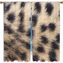 African Cheetah Window Curtains 70994317