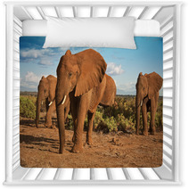 African Elephant Matriarchy Against A Blue Sky Nursery Decor 48597841