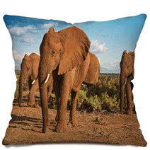 African Elephant Matriarchy Against A Blue Sky Pillows 48597841