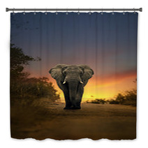 African Elephant Walking In Sunset Bath Decor 57709418