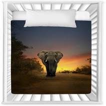 African Elephant Walking In Sunset Nursery Decor 57709418