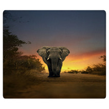 African Elephant Walking In Sunset Rugs 57709418