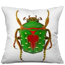 African Flower Beetle Stephanorrhina Guttata - Tanzania Pillows 63637837