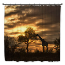 African Giraffe Walking In Sunset Bath Decor 57631048