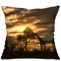 African Giraffe Walking In Sunset Pillows 57631048