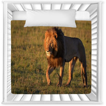 African Lion Nursery Decor 65396995