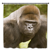 African Lowland Gorilla Bath Decor 35175606