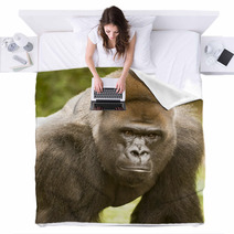 African Lowland Gorilla Blankets 35175606