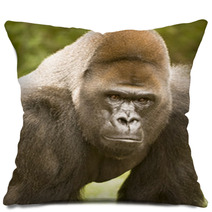 African Lowland Gorilla Pillows 35175606