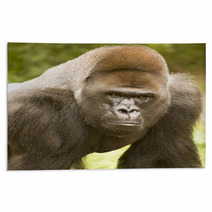 African Lowland Gorilla Rugs 35175606