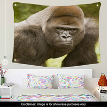 African Lowland Gorilla Wall Art 35175606