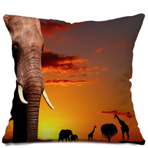 African Nature Concept Pillows 14132001