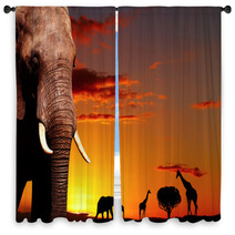 African Nature Concept Window Curtains 14132001