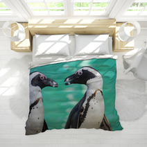 African Penguin Or Jackass Penguin (Spheniscus Demersus) Bedding 64035578