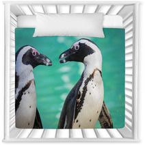 African Penguin Or Jackass Penguin (Spheniscus Demersus) Nursery Decor 64035578