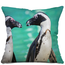African Penguin Or Jackass Penguin (Spheniscus Demersus) Pillows 64035578