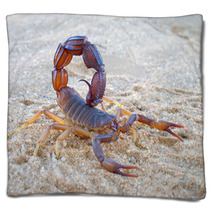 Aggressive Scorpion Blankets 41857844