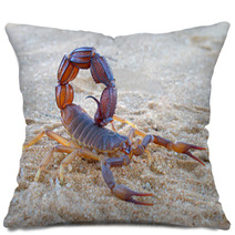 Aggressive Scorpion Pillows 41857844