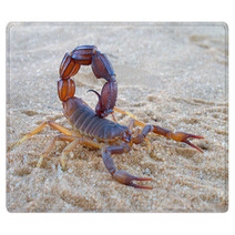 Aggressive Scorpion Rugs 41857844
