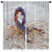 Aggressive Scorpion Window Curtains 41857844