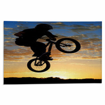 Airborne Bike Rugs 9395630