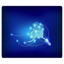 Alaska State Map Polygonal With Spot Lights Places Rugs 89330940