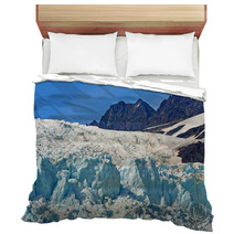 Alaskan Glacier Bedding 4836005