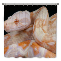 Albino Snake / Boa Constrictor Bath Decor 65746787