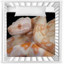 Albino Snake / Boa Constrictor Nursery Decor 65746787