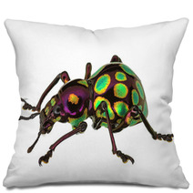 Amazing Exotic Weevil Pachyrhynchus Gemmatus Pillows 62795895
