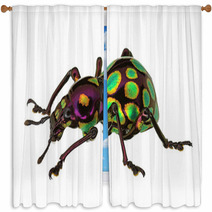 Amazing Exotic Weevil Pachyrhynchus Gemmatus Window Curtains 62795895