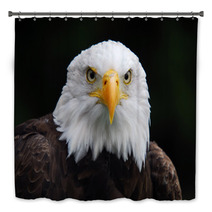 American Bald Eagle (Haliaeetus Leucocephalus) Bath Decor 4983060