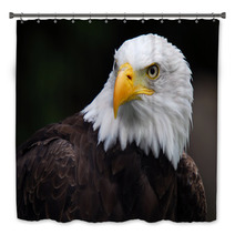American Bald Eagle (Haliaeetus Leucocephalus) Bath Decor 5007416