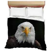 American Bald Eagle (Haliaeetus Leucocephalus) Bedding 4983060