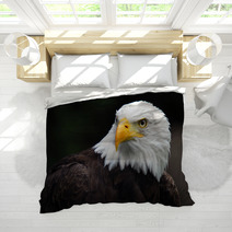 American Bald Eagle (Haliaeetus Leucocephalus) Bedding 5007416