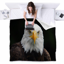American Bald Eagle (Haliaeetus Leucocephalus) Blankets 4983060