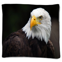 American Bald Eagle (Haliaeetus Leucocephalus) Blankets 5007416