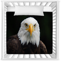 American Bald Eagle (Haliaeetus Leucocephalus) Nursery Decor 4983060