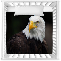 American Bald Eagle (Haliaeetus Leucocephalus) Nursery Decor 5007416