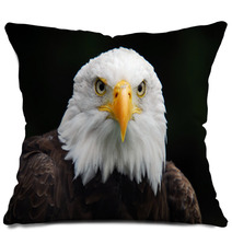 American Bald Eagle (Haliaeetus Leucocephalus) Pillows 4983060
