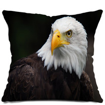 American Bald Eagle (Haliaeetus Leucocephalus) Pillows 5007416