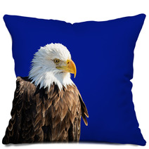 American Bald Eagle Pillows 60553654