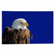 American Bald Eagle Rugs 60553654
