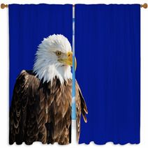 American Bald Eagle Window Curtains 60553654