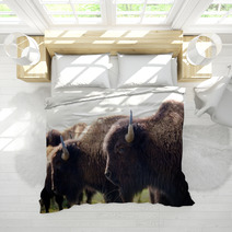American Bison Bedding 49502361