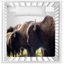American Bison Nursery Decor 49502361