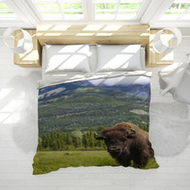 American Bison Or Buffalo Bedding 53929178