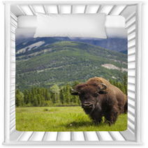 American Bison Or Buffalo Nursery Decor 53929178